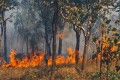 A bush fire in Australia’s Northern Territory.